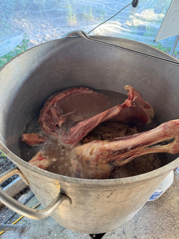 1.5 lambs broken down into major parts and stewed for 8 hours.