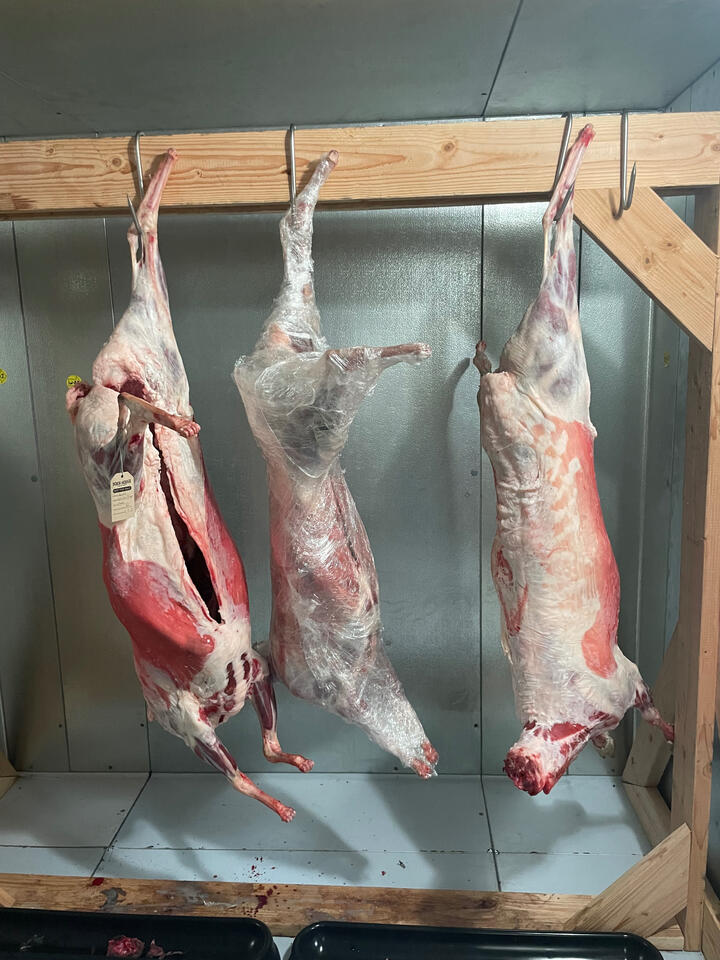 Lamb raised and slaughtered 5 minutes from the event venue in Ojai. Great neighbors are a gift.