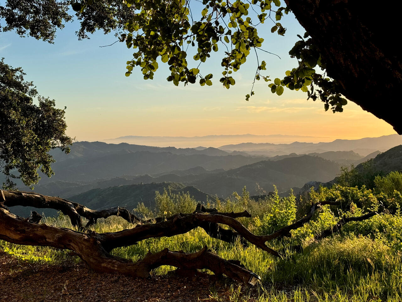 Ojai glory and the deep well of reverence for the land in this valley.