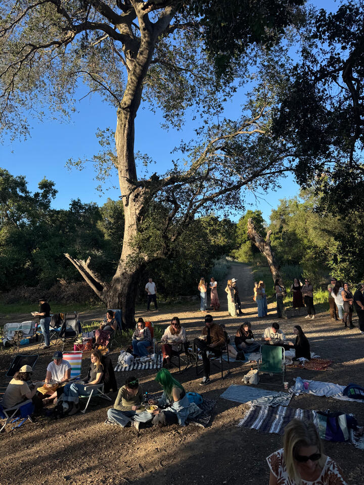 Free range, connected and rooted to the land.